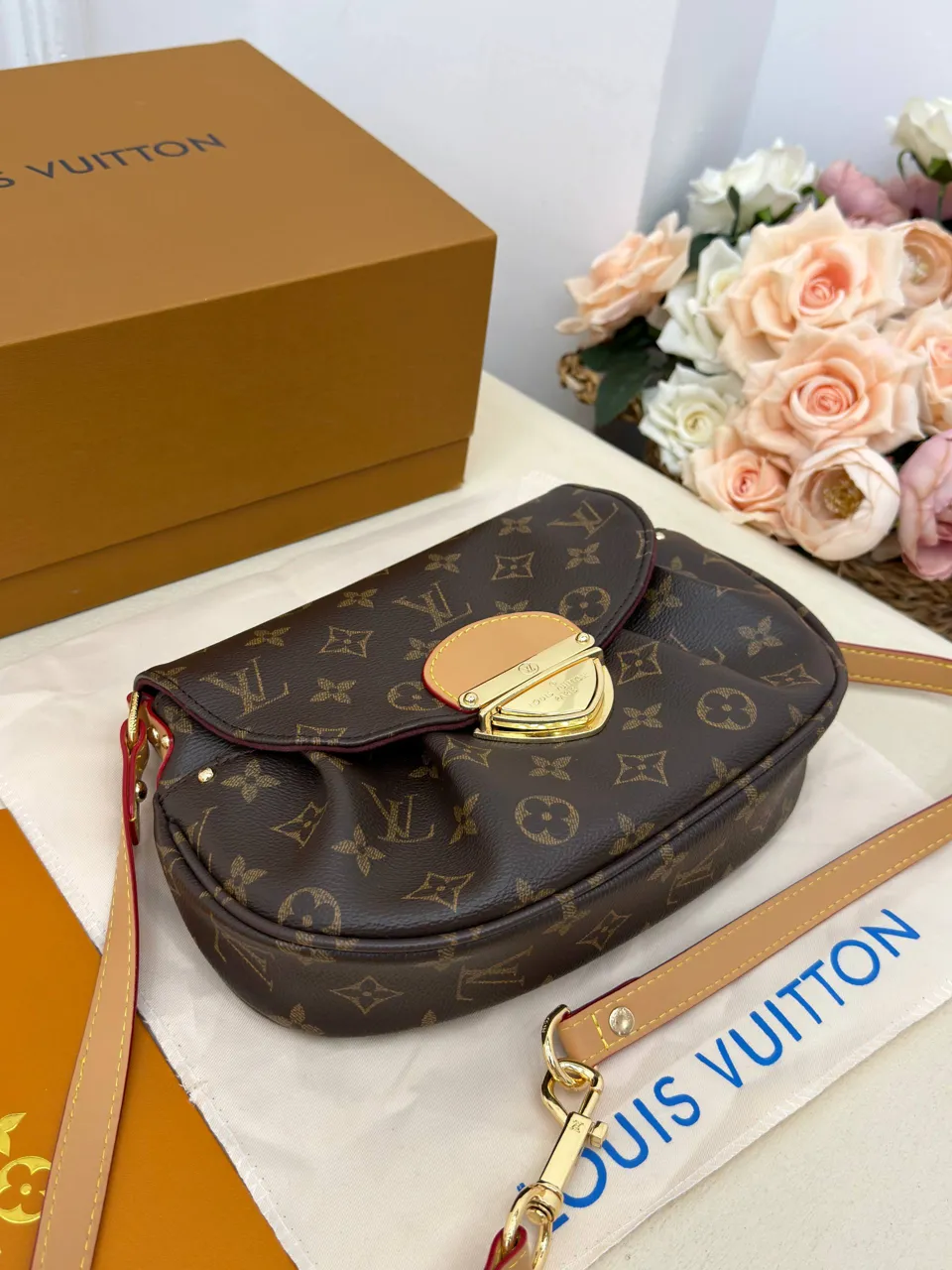Louis Vuitton çanta 11