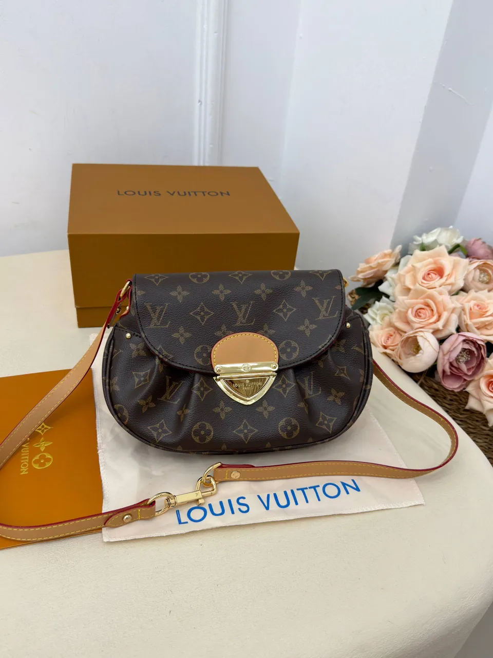 Louis Vuitton çanta 12