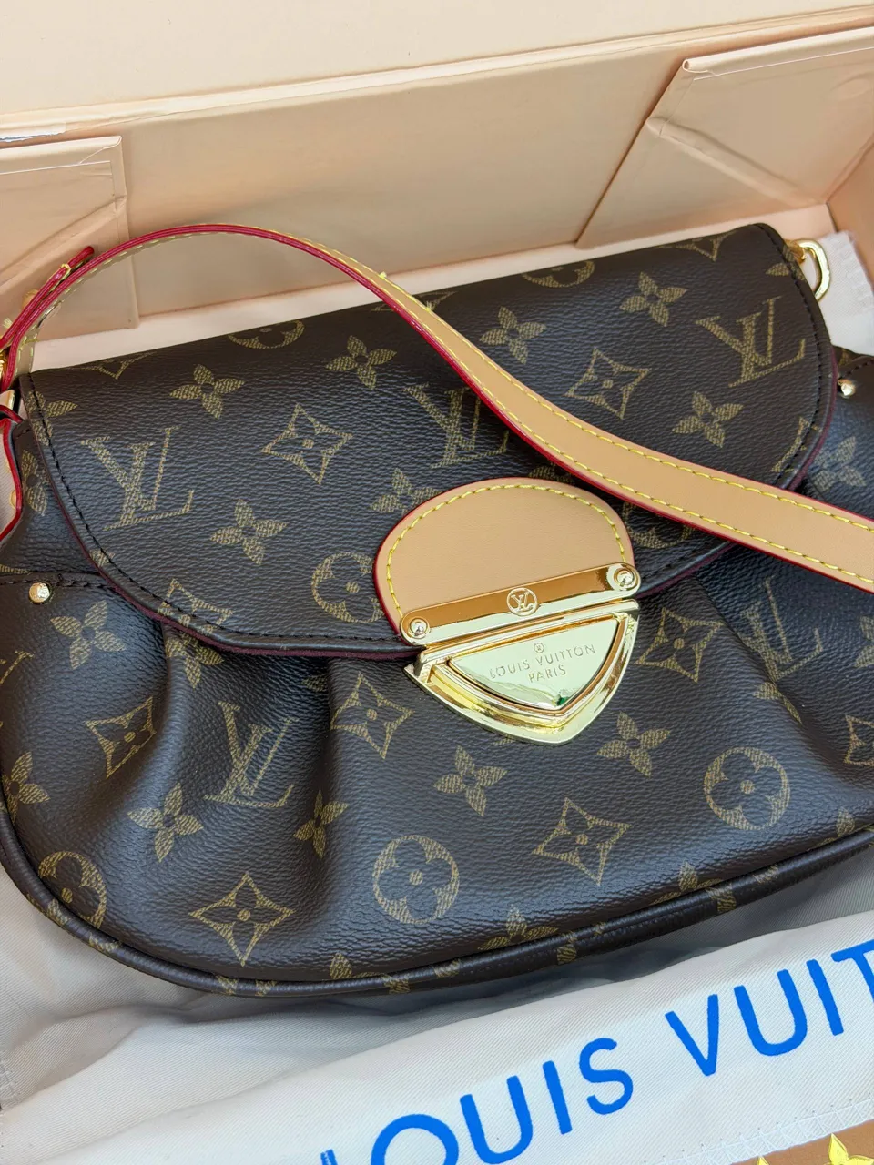 Louis Vuitton çanta 4