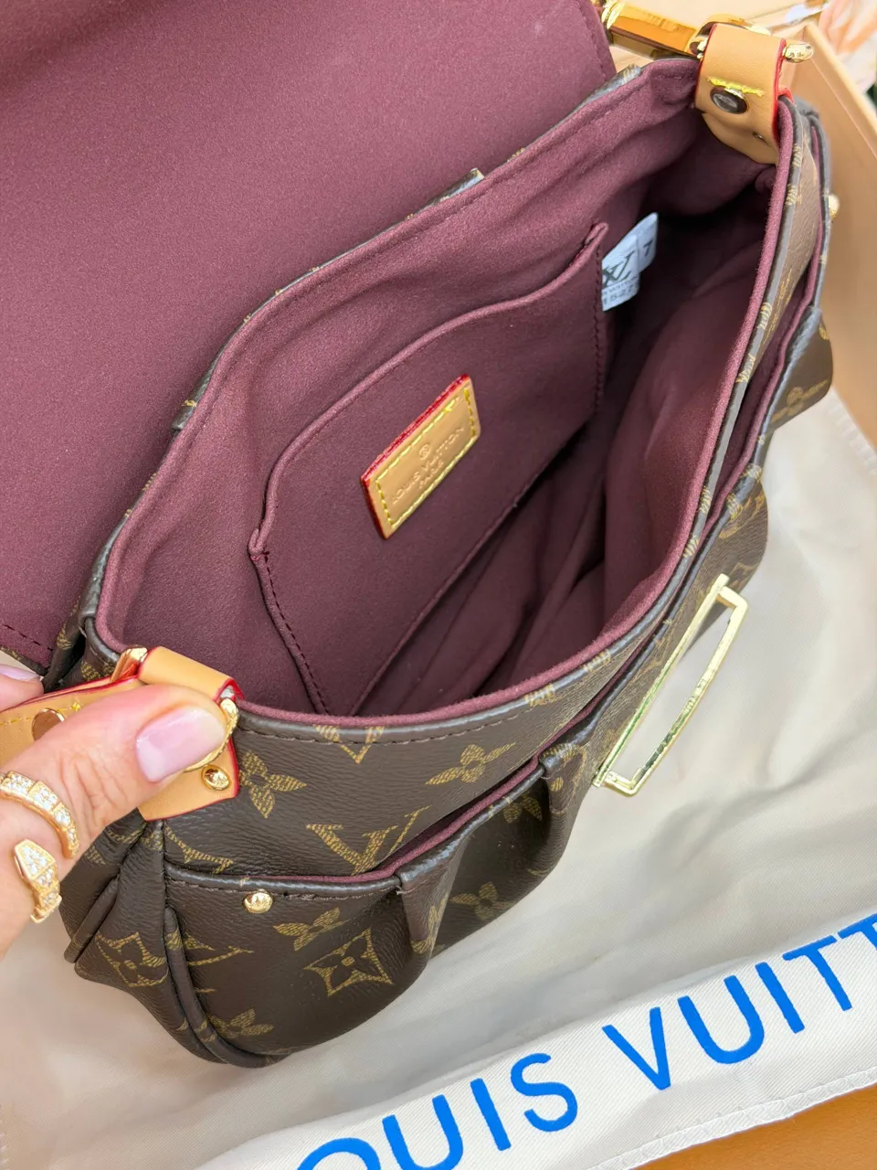 Louis Vuitton çanta 6