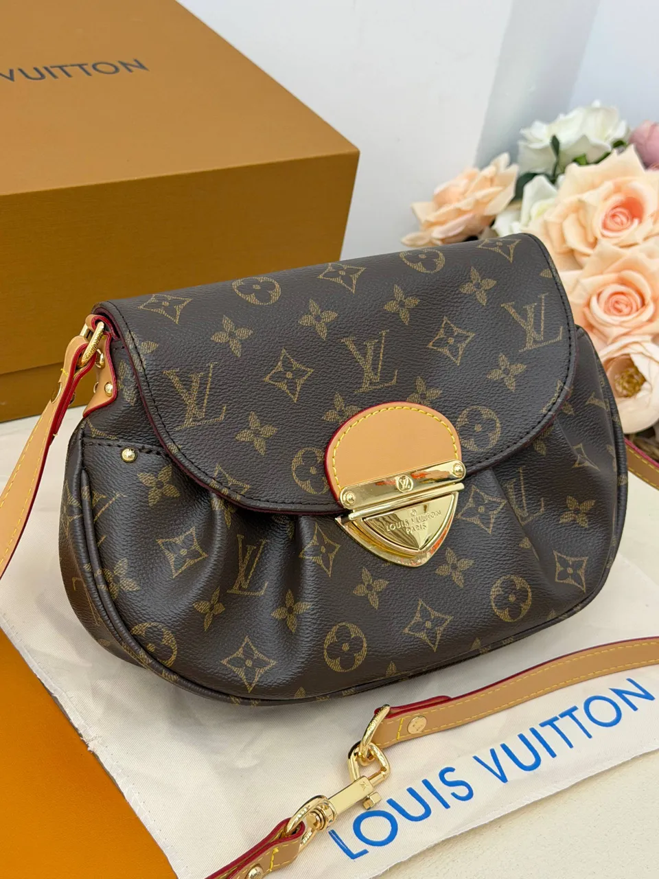 Louis Vuitton çanta 8