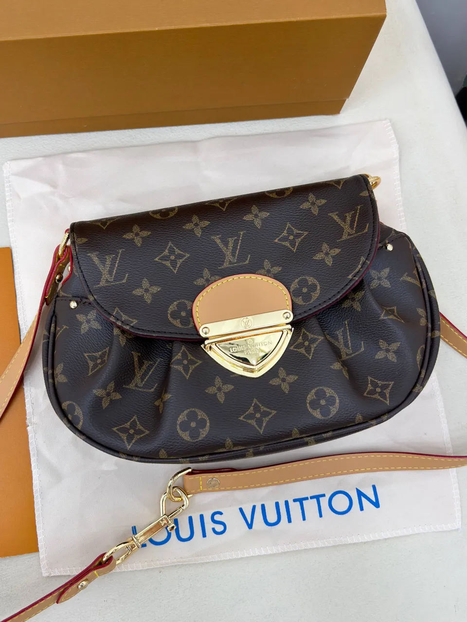 Louis Vuitton çanta 10